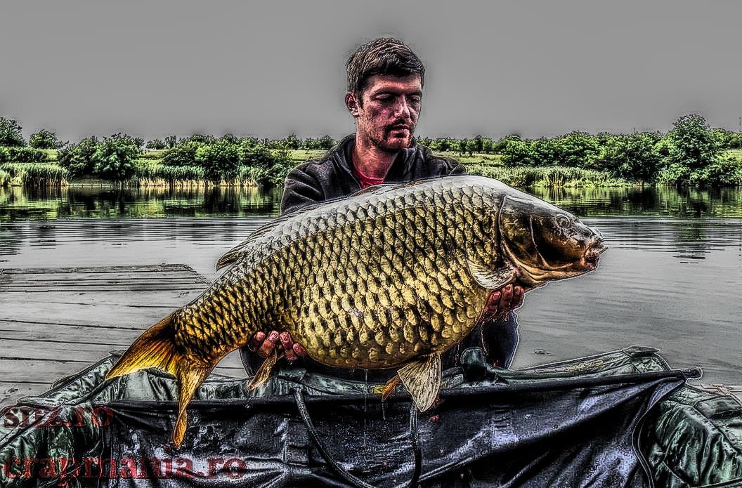 Senior Trophy (2) - 2013 - 1012609hdrmode2.jpg